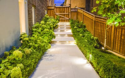 Why Fall Is the Best Time to Plan a Backyard Renovation for Next Summer